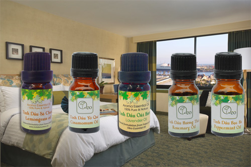 Những loại tinh dầu thường được dùng trong khách sạn